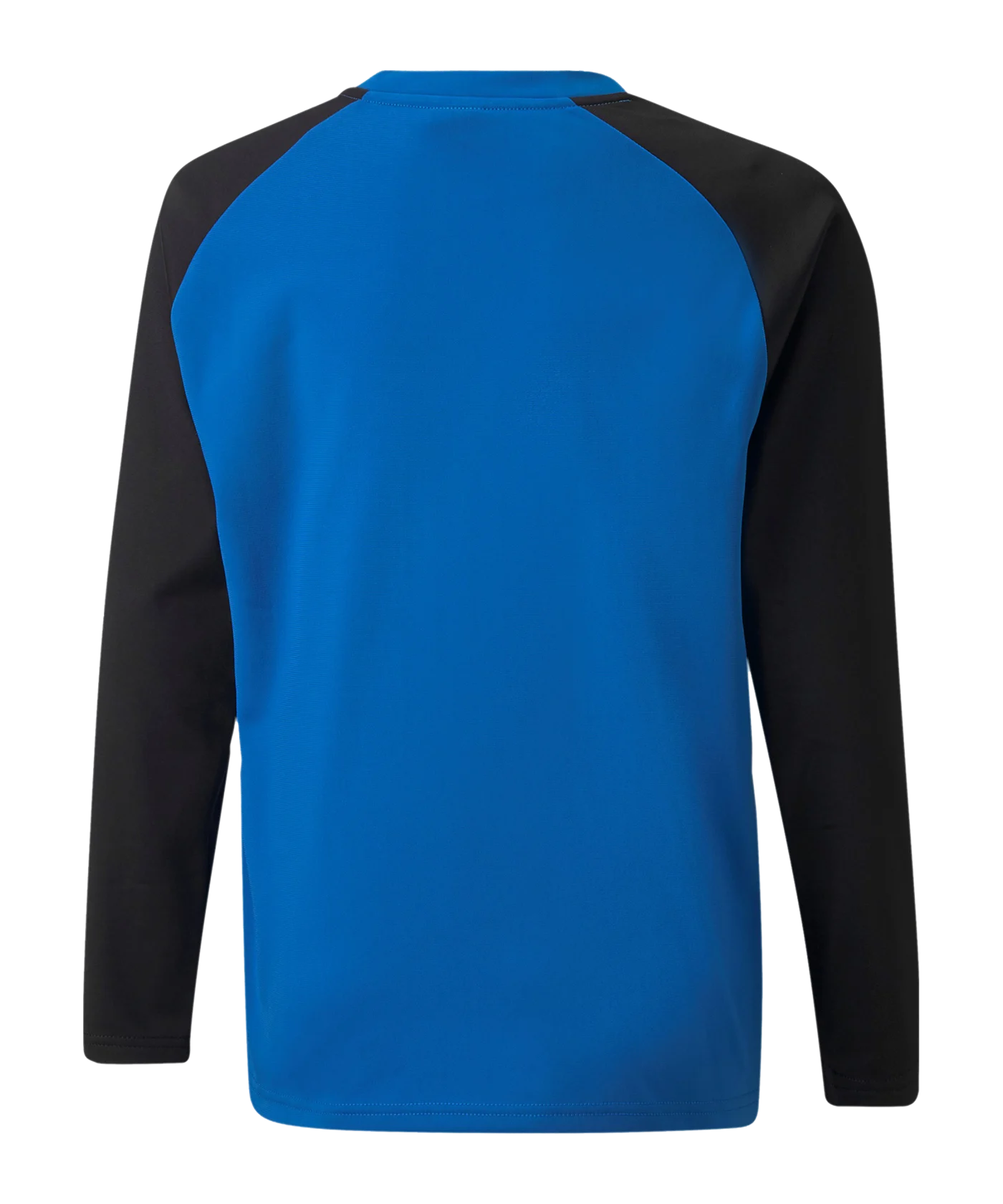 PUMA teamLIGA Sweatshirt Kids Blau F02
