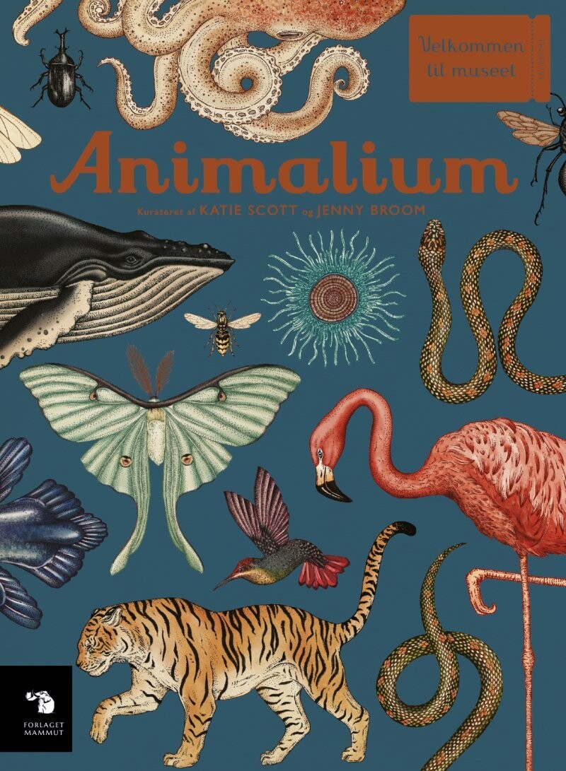 Animalium - Katie Scott - Bog