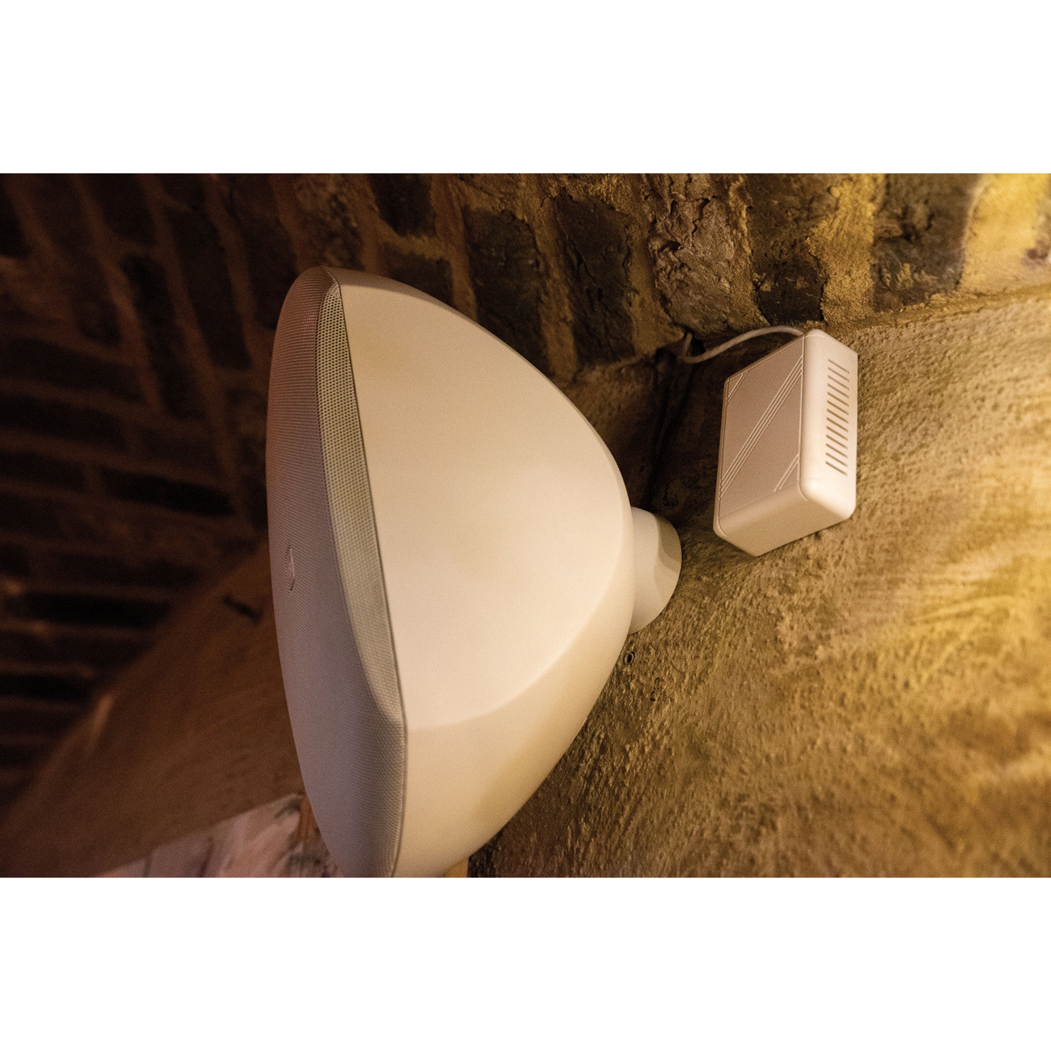 DAP WMS6T-W passieve 6.5 inch opbouw luidspreker 100 V, wit