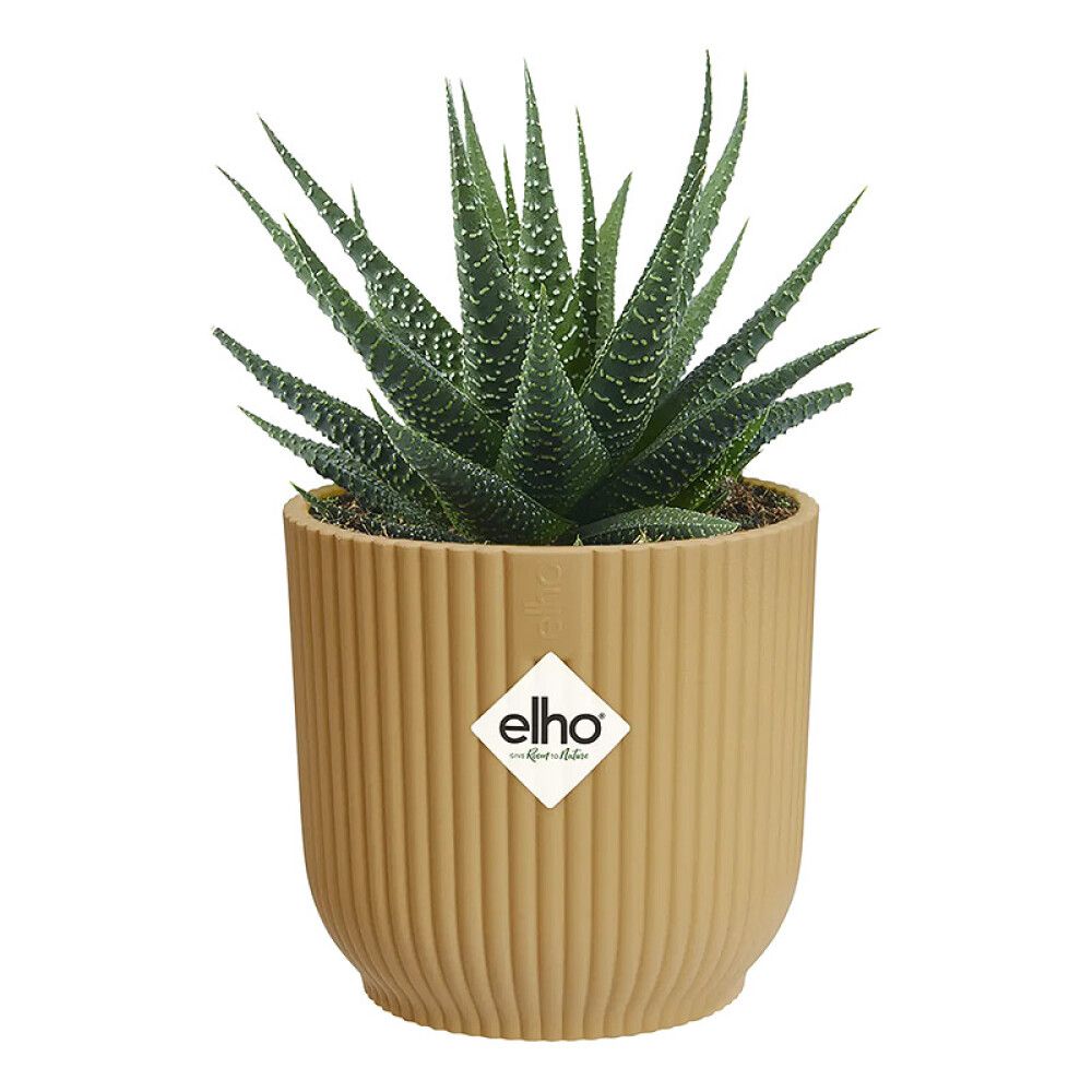 INNEPOTTE ELHO VIBES FOLD ROUND MINI Ø7CM GUL