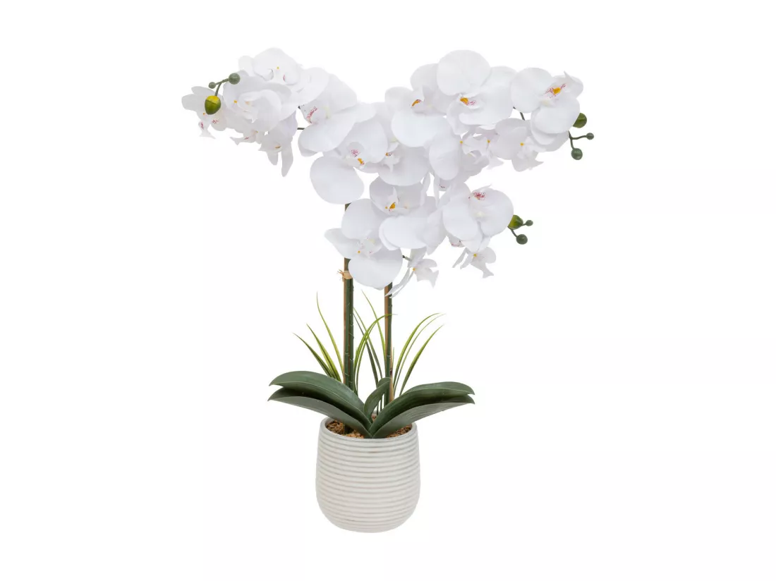Plante artificielle Orchidée Blanche pot en céramique striée H 65 cm