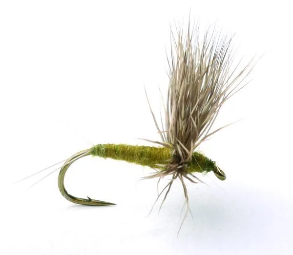Umpqua Flies Comparadun Bwo
