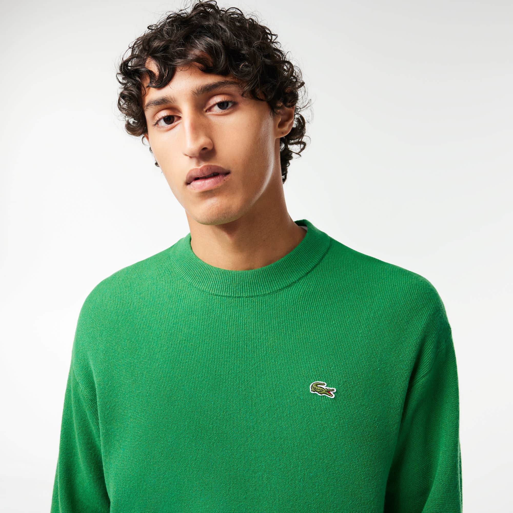 Herren LACOSTE Pullover aus Wolle mit Rundhals Pullover - Grün - Lacoste - Herren