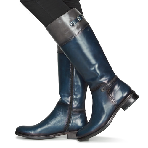 Dorking - TIERRA - Bleu / Gris