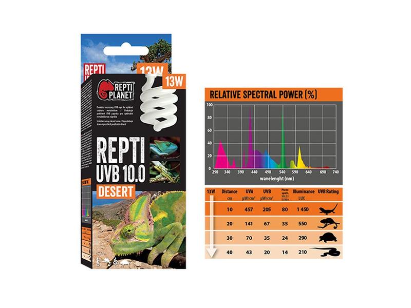 Repti Planet Terrarienlampe Sparlampe 10.0 13 W Beleuchtung für Wüstenterrarien