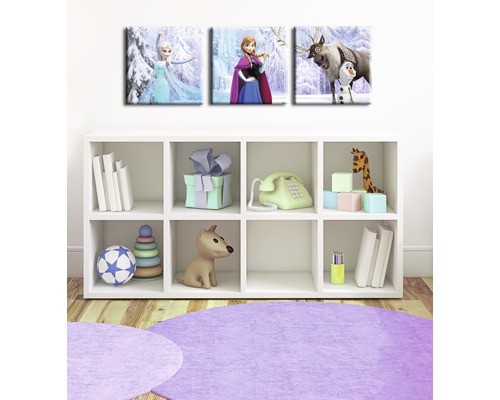 Disney Frozen Canvas Print Set van 3 (3 x 30 x 30 cm)