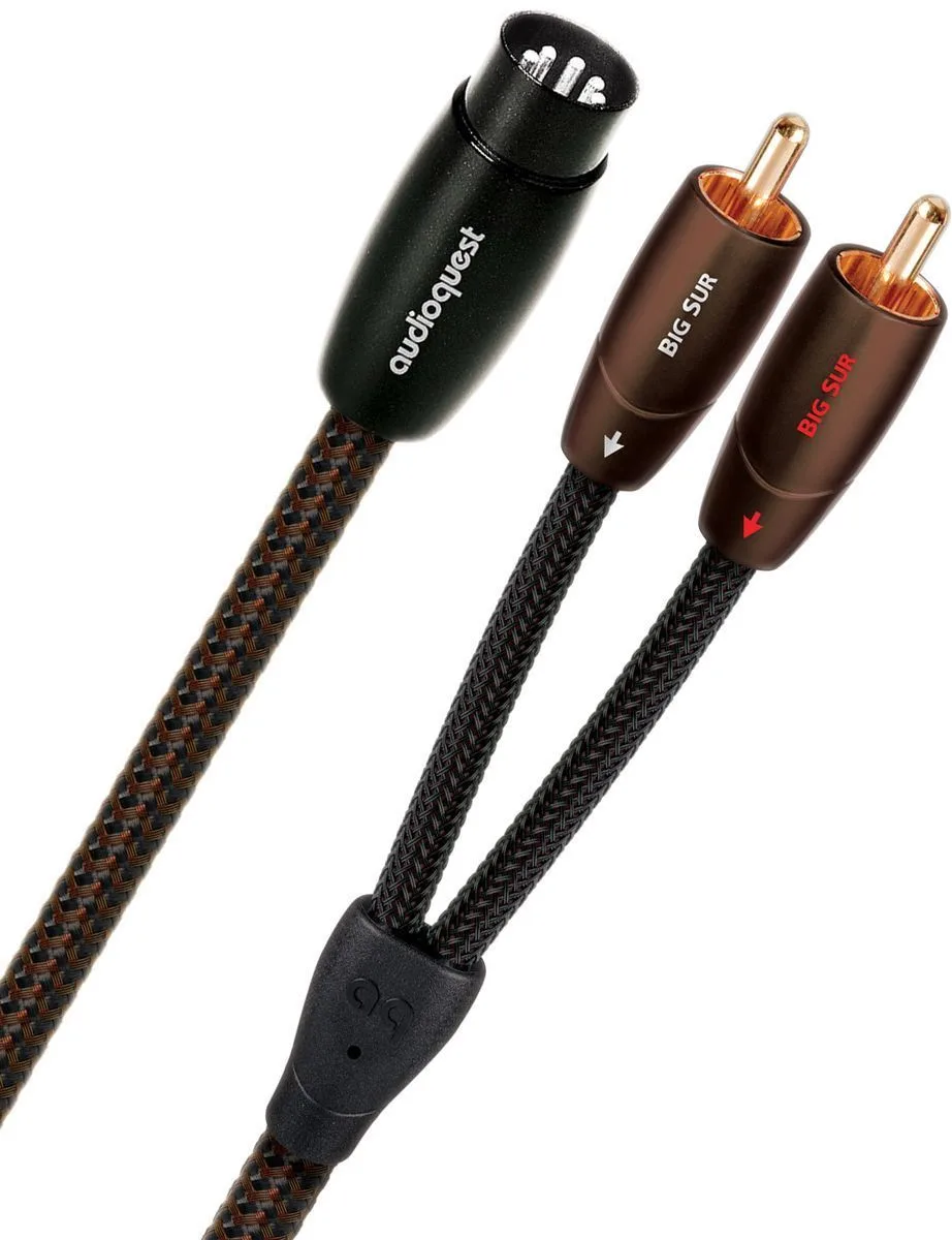 Audioquest Big Sur RCA/DIN (2 m) Câbles RCA/Cinch stéréo