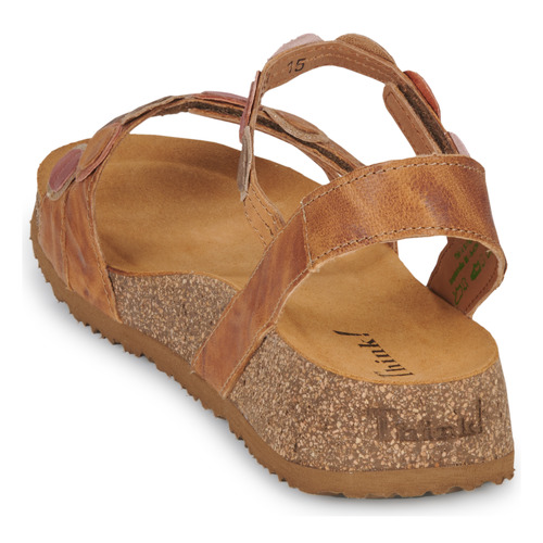 Think - KOAK - Camel