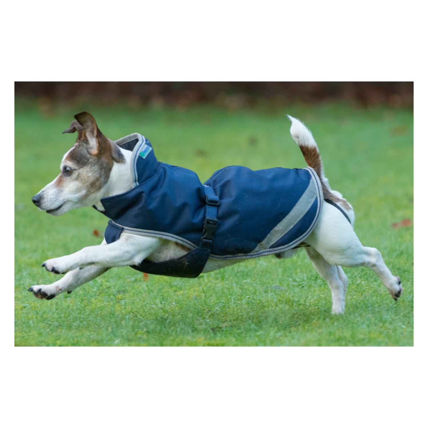 bucas Hundemantel Dog Rug Freedom 50 g - navy