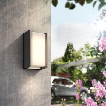 Philips Hue outdoor wandlamp Turaco antraciet