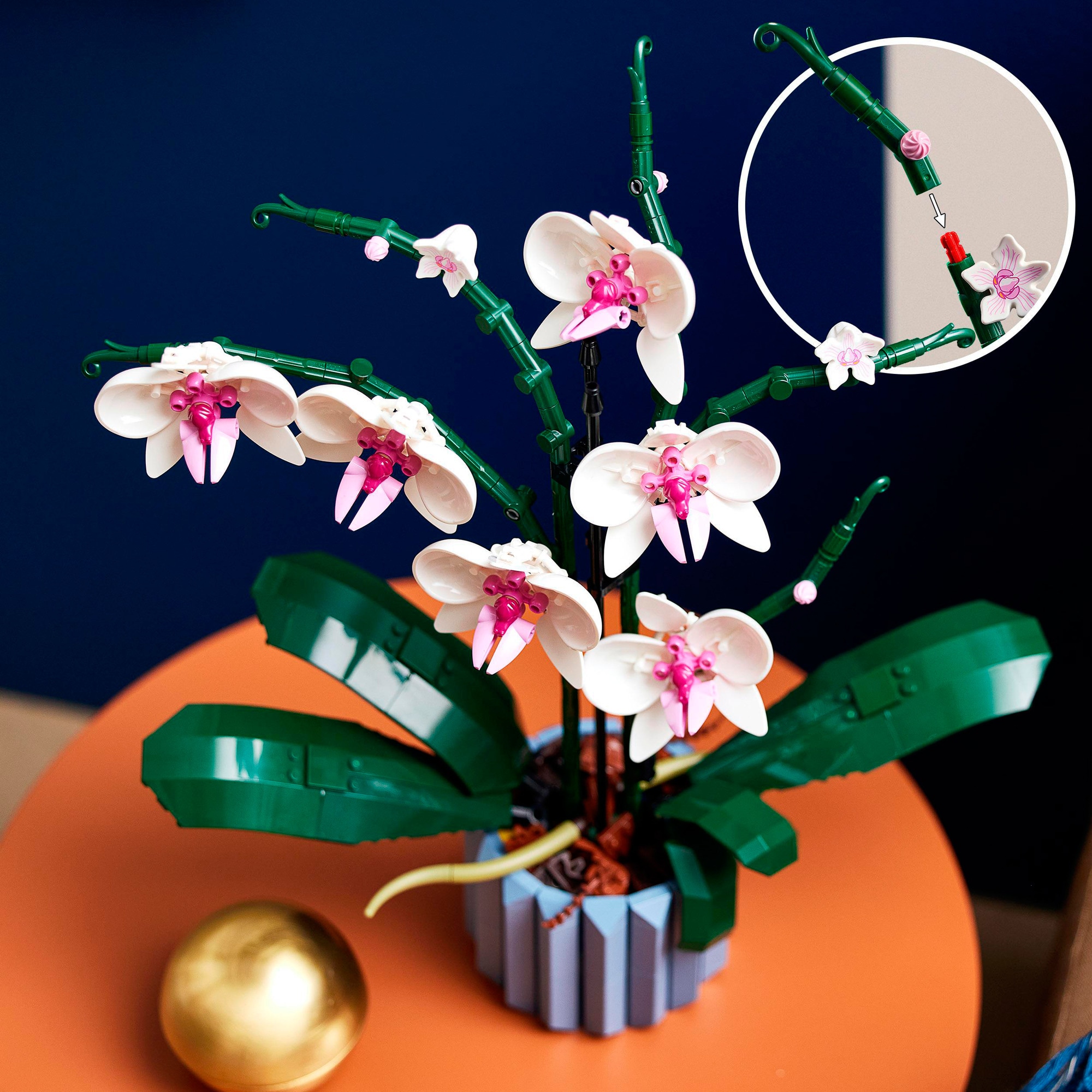 LEGO Konstruktionsspielzeug Icons Orchidee