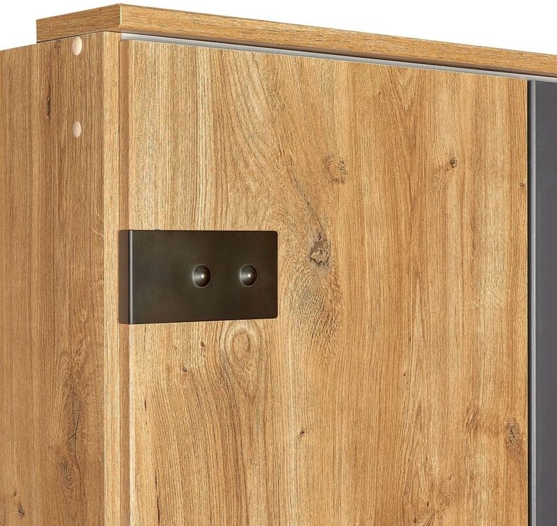 Stratum - Kledingkast - Draaideur - Hout - Industrieel - 4 Legplanken & 2 Roedes