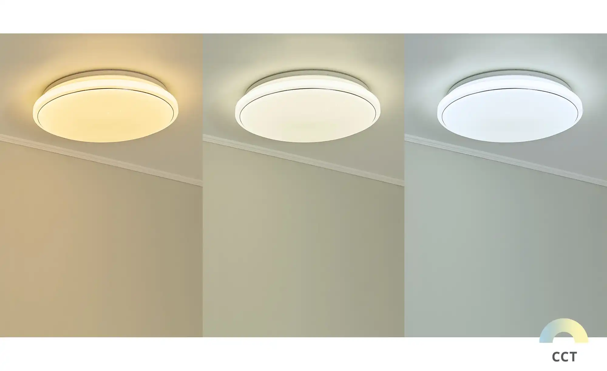 Paul Neuhaus Smart Home-Deckenleuchte, 1-flammig