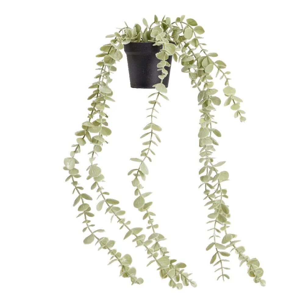Plante grasse artificielle succulente H42cm - 2 modèles
