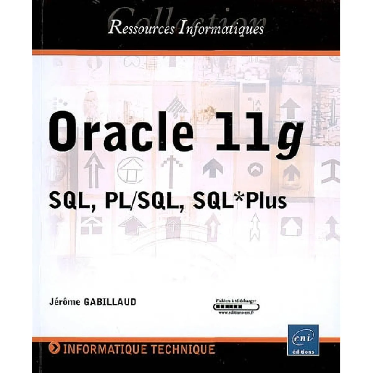 Oracle 11g : SQL, PL-SQL, SQL*Plus · Occasion