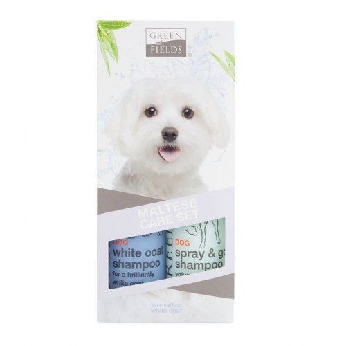Conjunto de shampoo líquido e seco Greenfields para cães da raça Maltês