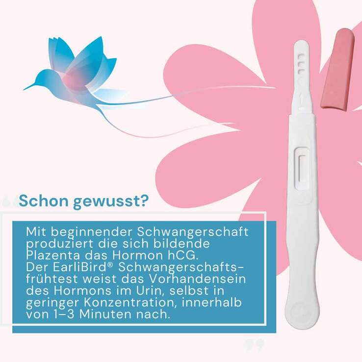 Earlibird Ultrafrüh Schwangerschaftstest Urin, 1 St