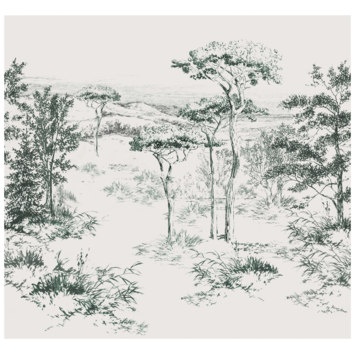 Fotobehang Jaxx (dessin 118752)