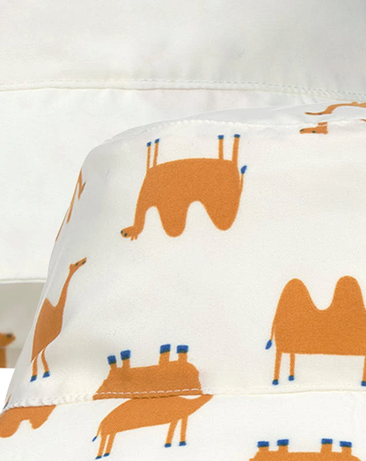 Wendehut CAMEL in nature