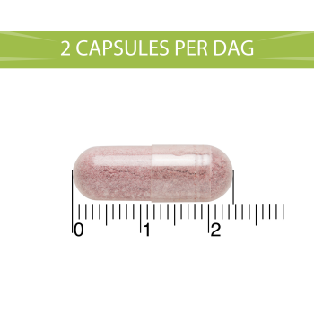 Blaseberry Cranberry, D-mannose & Hibiscus (50 capsules)