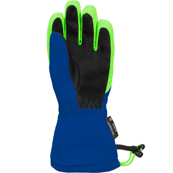 Gant de ski REUSCH MAXI R-TEX XT SURF THE WEB / GREEN GECKO