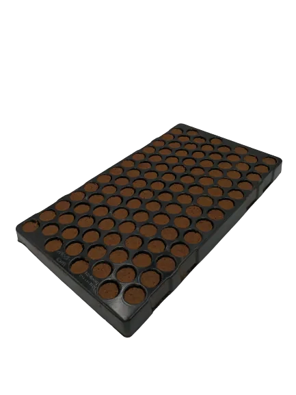 (104er Set) Ø35x40mm Anzucht Kegel Keimschalen Pflanzen Aufzucht Tray für Stecklinge / Samen (LP1000)