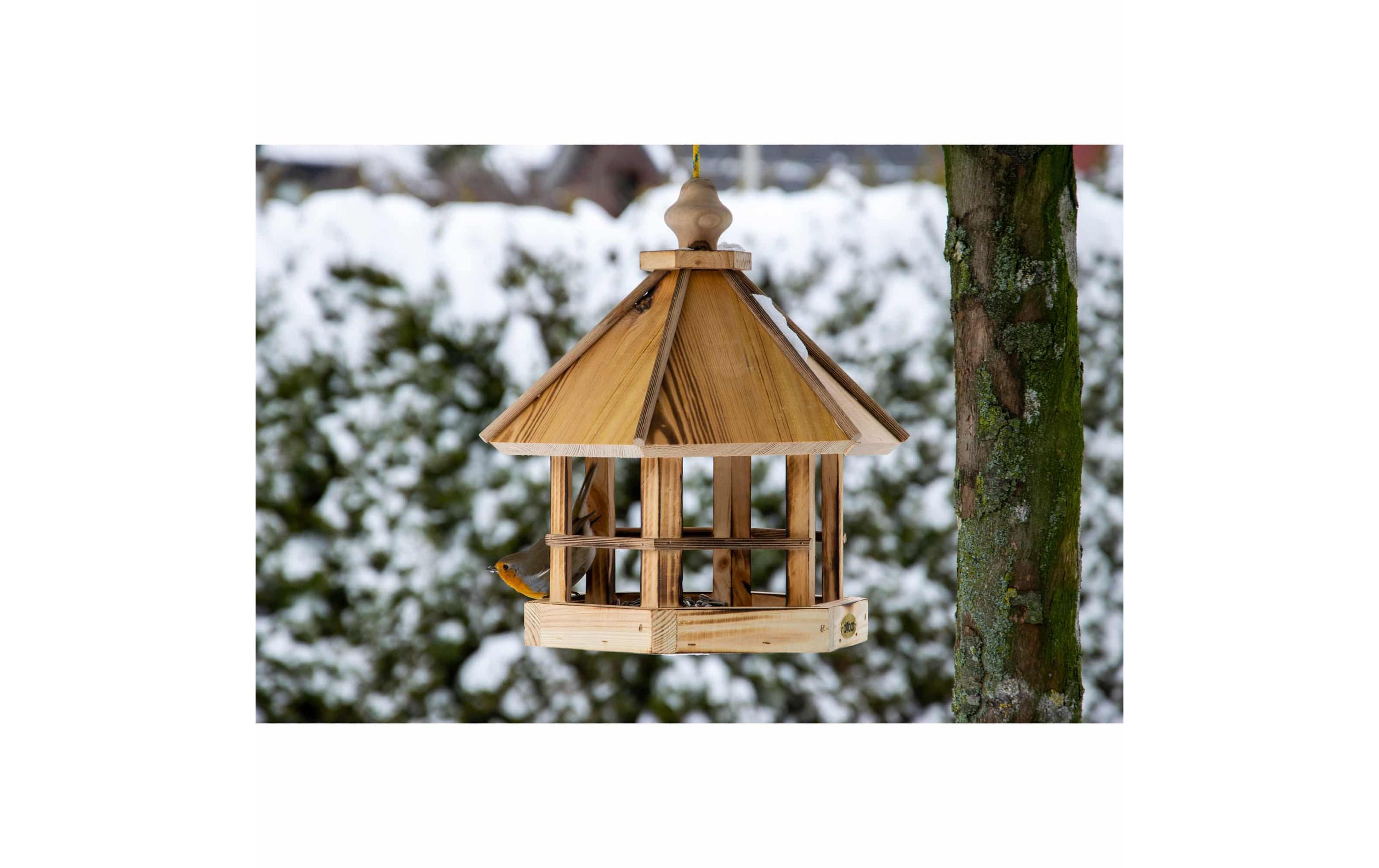 Futterspender Caliente zum Aufhängen, 29 x 29 x 34 cm, HolzFutterhaus mit Kordel
