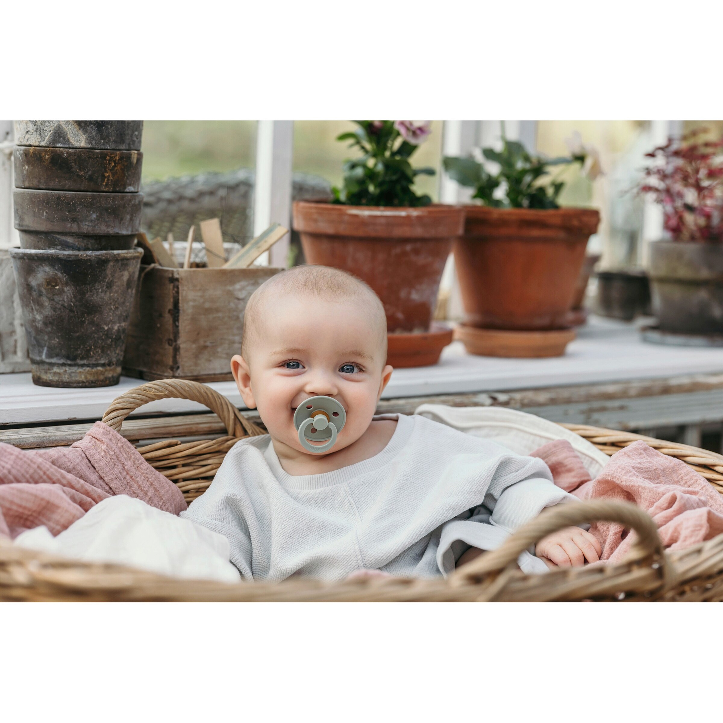 BIBS 2er-Pack Colour Schnuller Latex, symetrisch, 0-6M Ivory/Sage