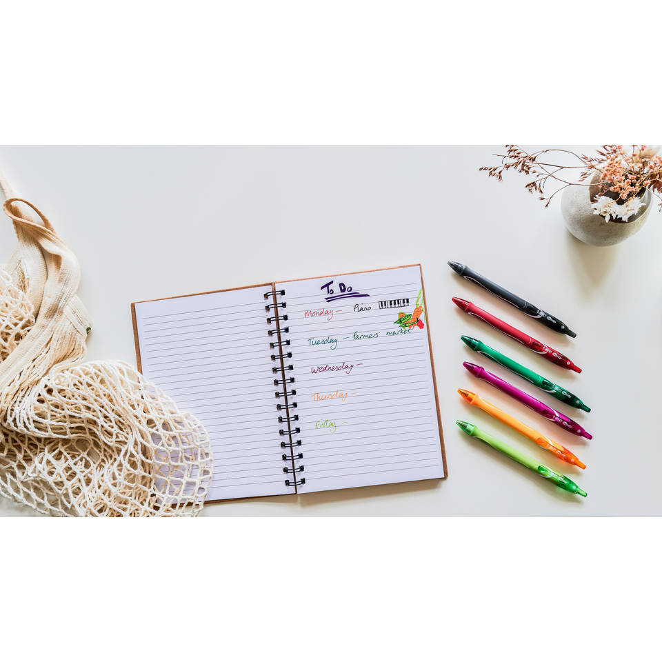 BIC Gelocity Quick Dry gelpen
