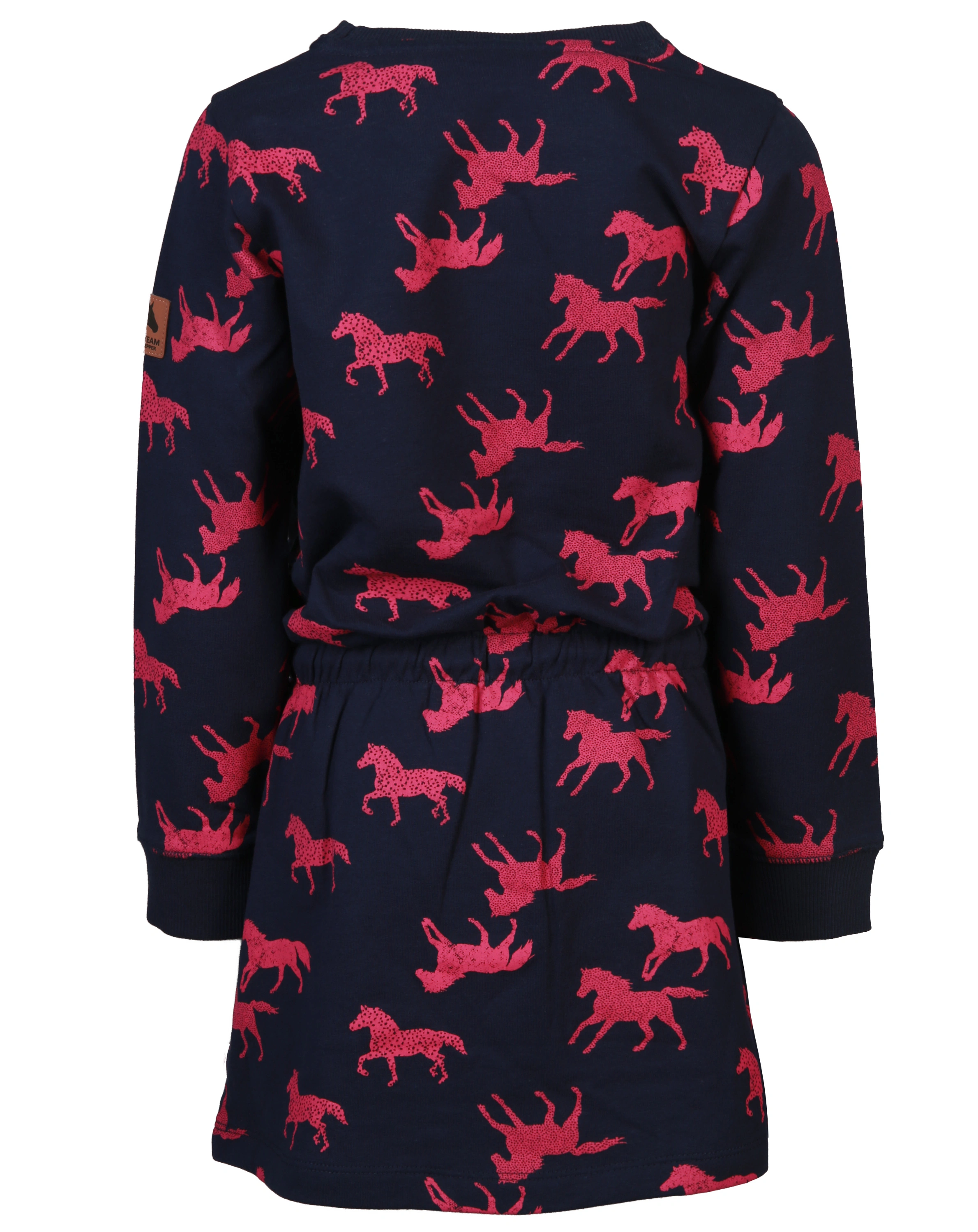 Langarm-Kleid HORSES AOP in navy