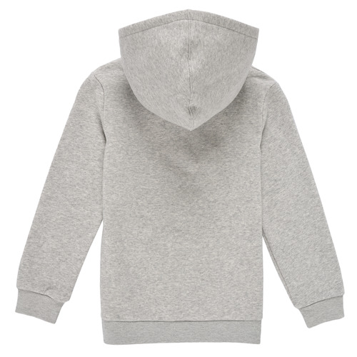 Levi's - BATWING SCREENPRINT HOODIE - Gris