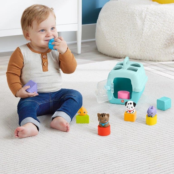 Fisher-Price - Meine Tierfreunde Bausteine