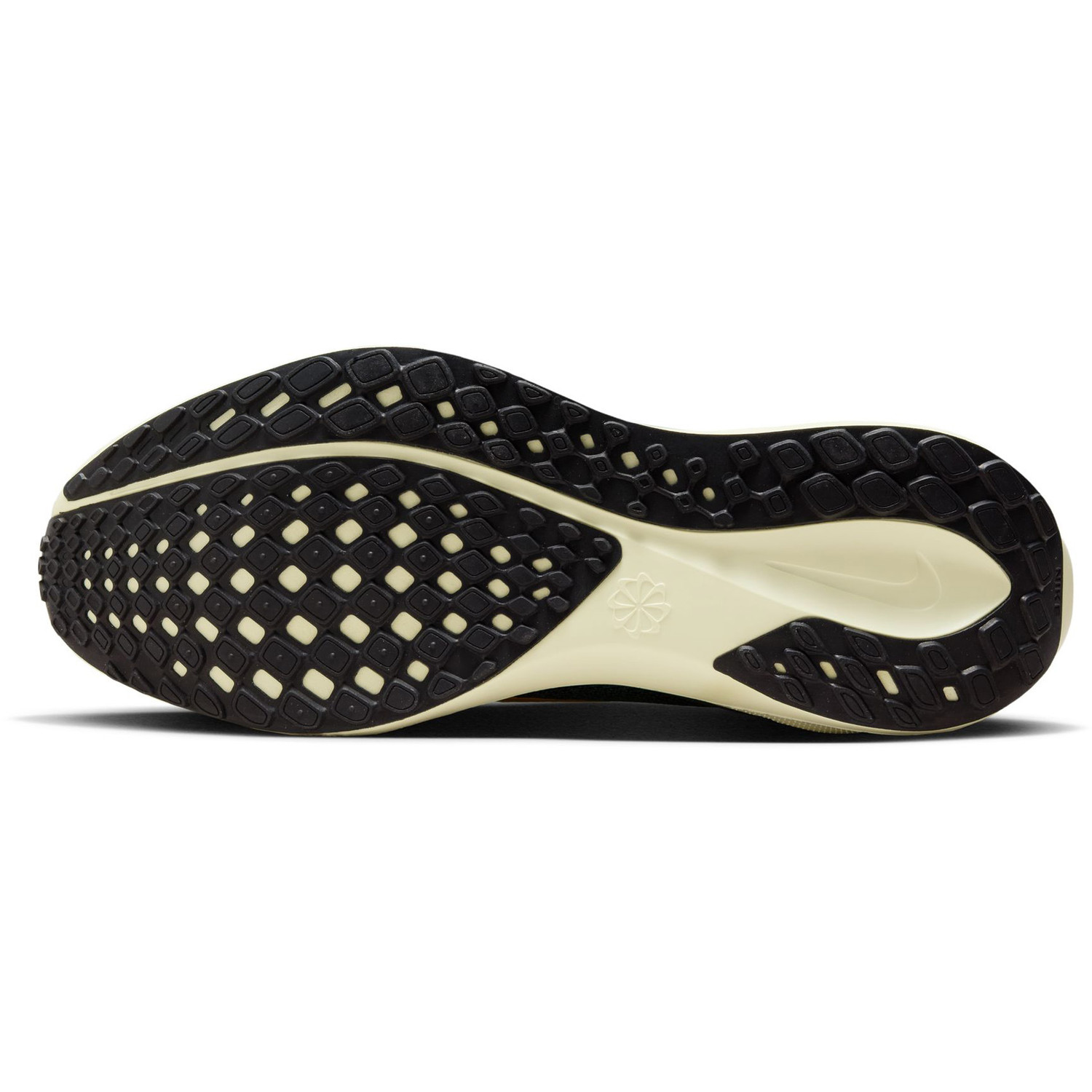 Nike Pegasus 41 Heren