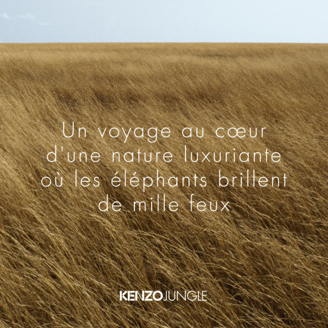 Kenzo Jungle Femme Parfum KENZO