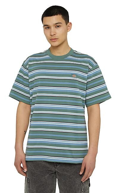 DICKIES - T-SHIRT MC GLADE SPRING TEE