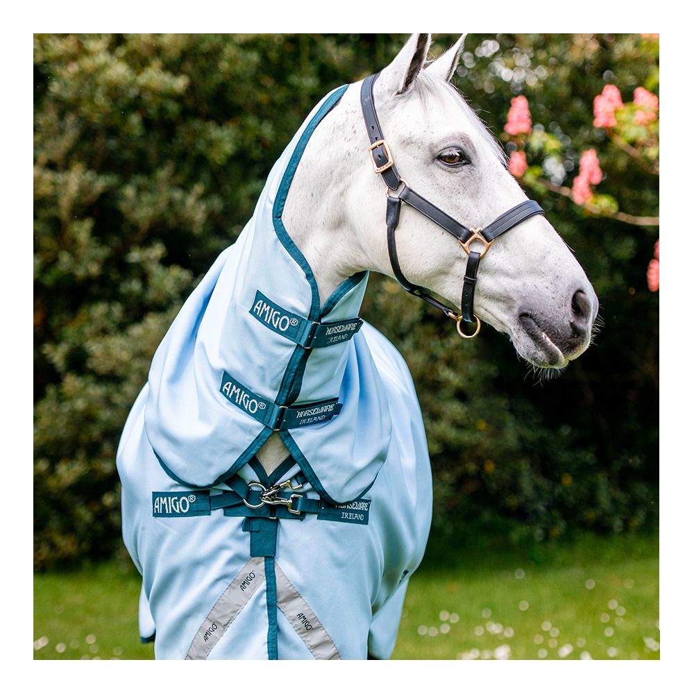 Horseware AMIGO PLANT DYE 50G - Couverture de paddock + couvre-cou blue/navy