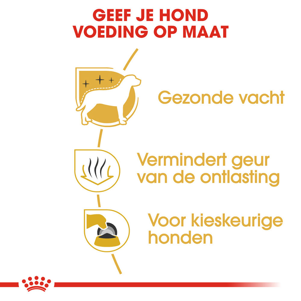 Royal Canin Maltese Adult - Hondenvoer