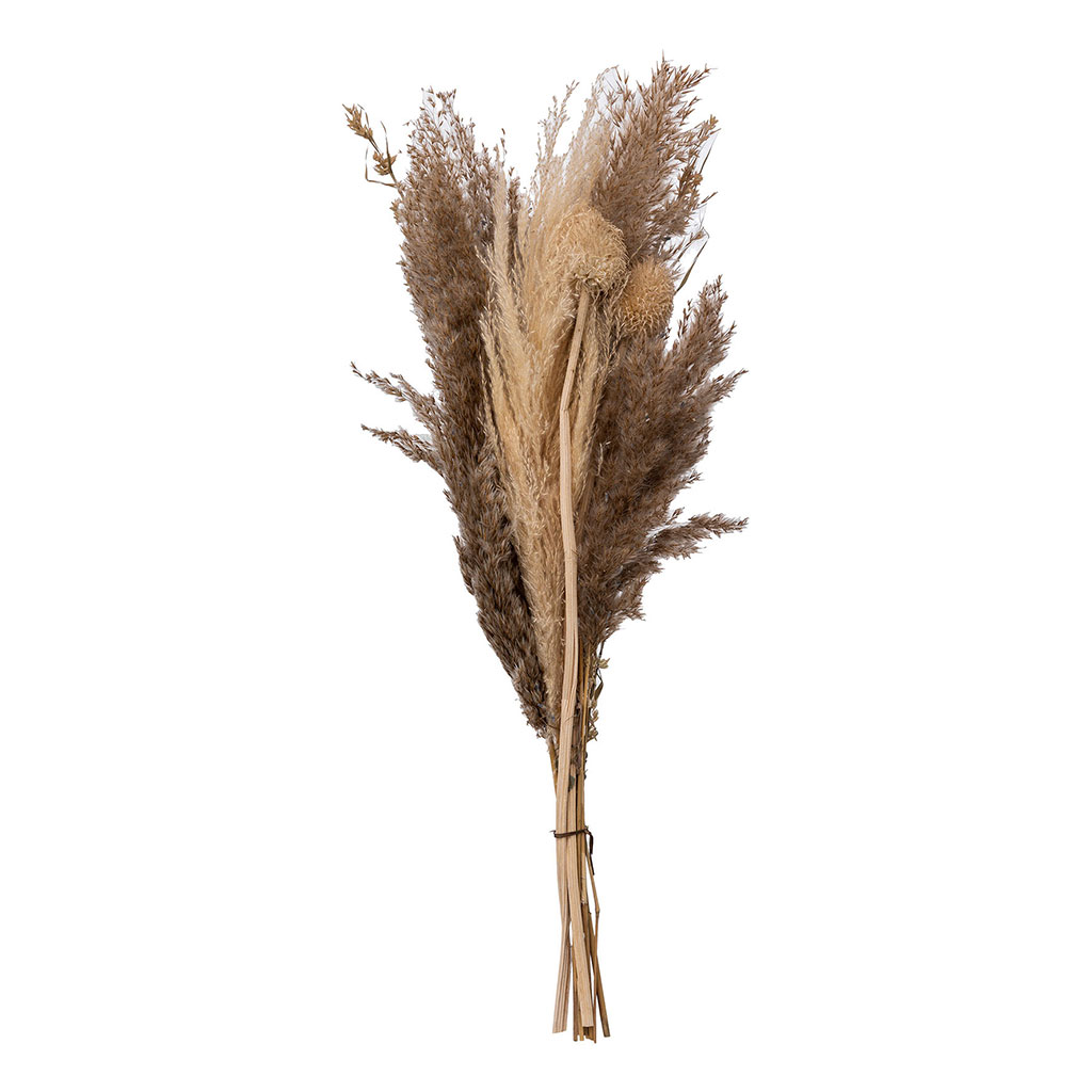 Bouquet d'herbes de la pampa H 58cm