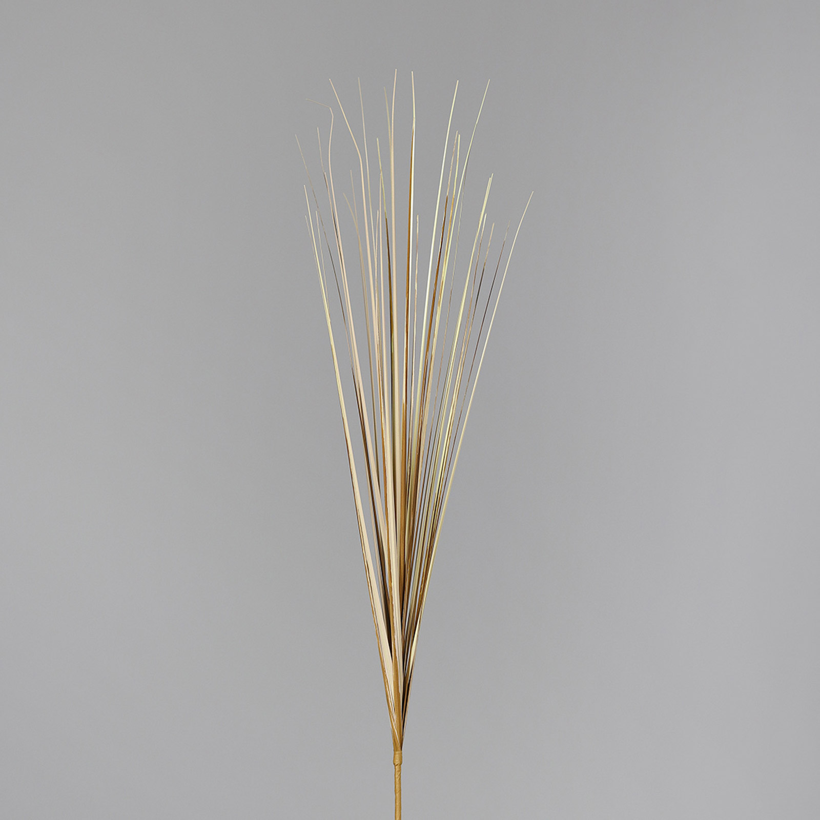 Isolepsisgras - beige - Kunststoff - 70 cm