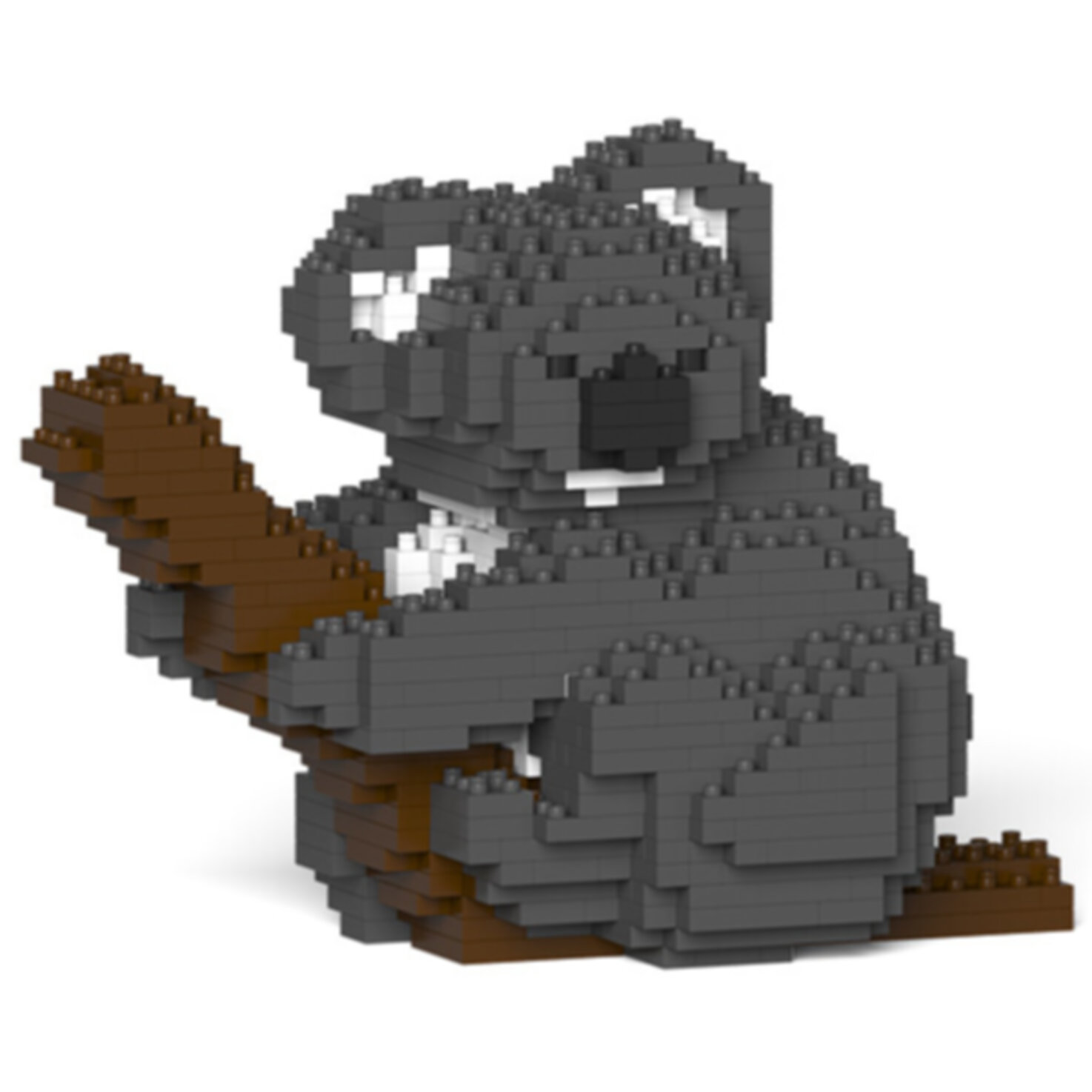 Jekca Koala