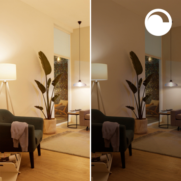 Philips Smart E27-fitting 40 watt