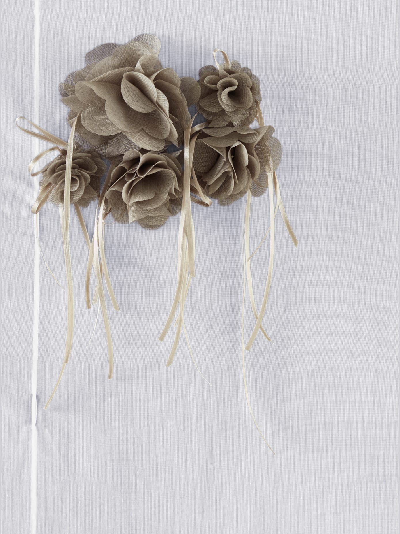Store-bateau superbe application florale originale
