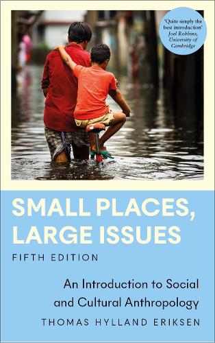 Small Places, Large Issues: An Introduction to Social and Cultural Anthropology - Anthropology, Culture and Society (Paperback)
