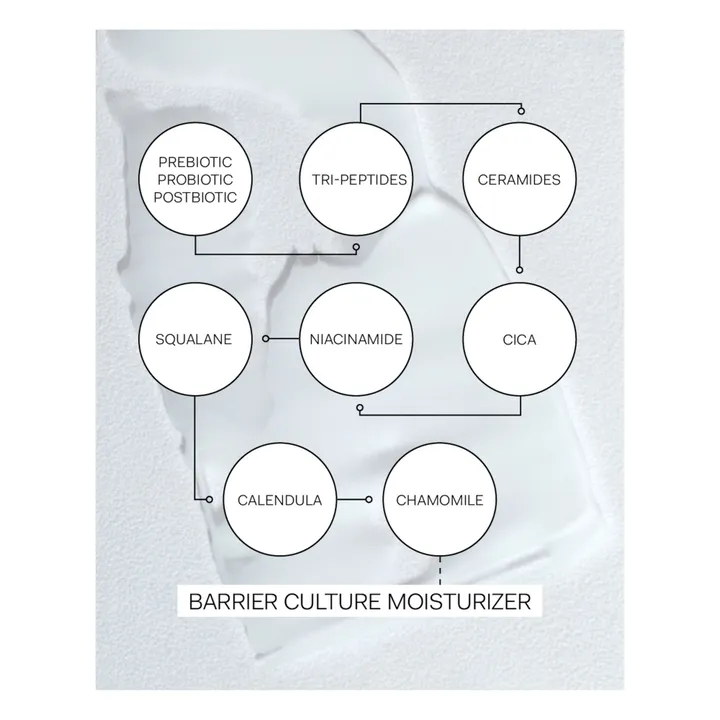 The Nue Co Soin hydratant visage Barrier Culture - 50ml