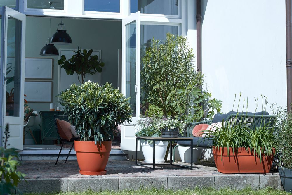 Elho plantenschaal Vibia Campana antraciet D 27 H 14 cm