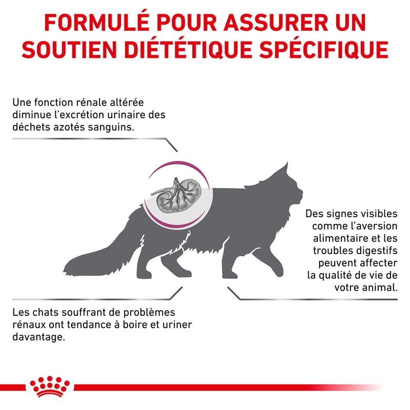 Royal Canin Veterinary Renal Special