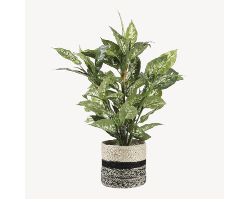 Kunstplant Dieffenbachia Dieffenbachia Ø 55 H 70 cm groen