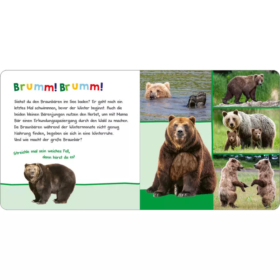 arsEdition Hör mal rein, wer kann das sein? - Tiere im Herbst