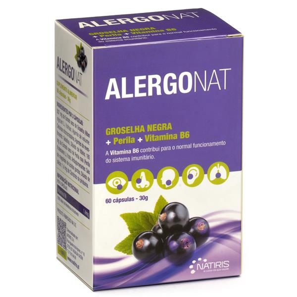 Alergonat