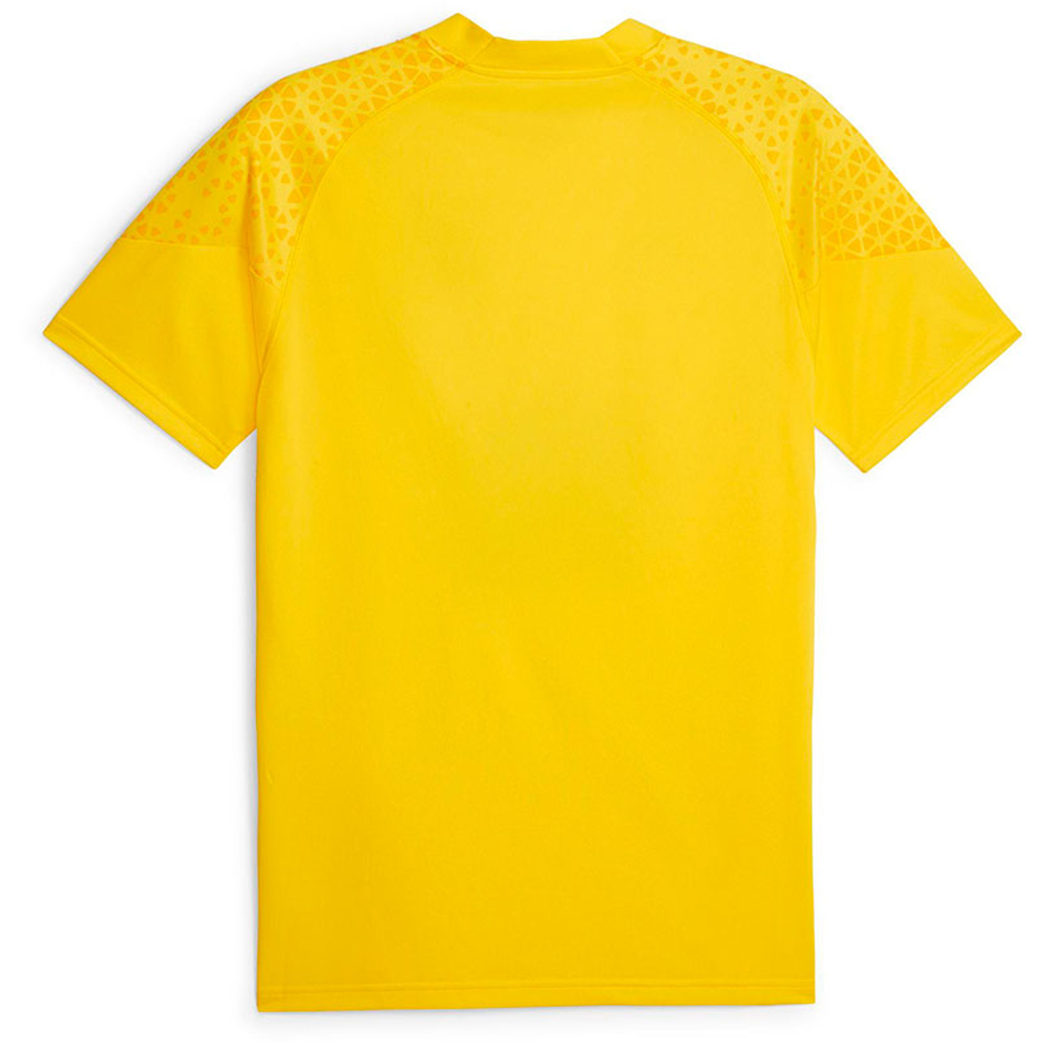 Puma Borussia Dortmund Trainingsset